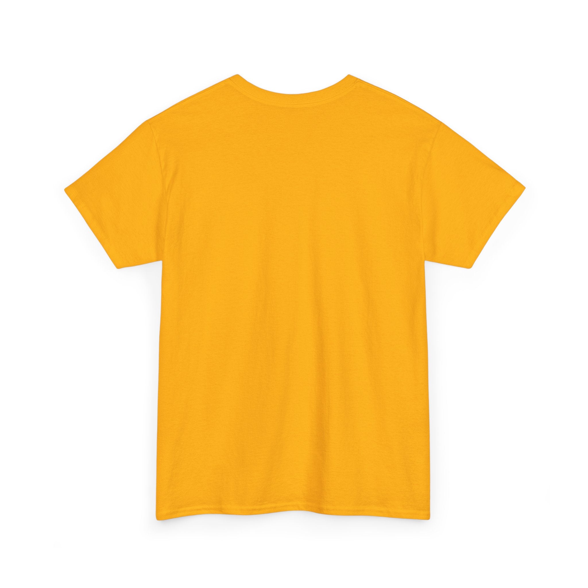 Recovery Is Part Of The Workout T-Shirt | Fitness Motivation Tee